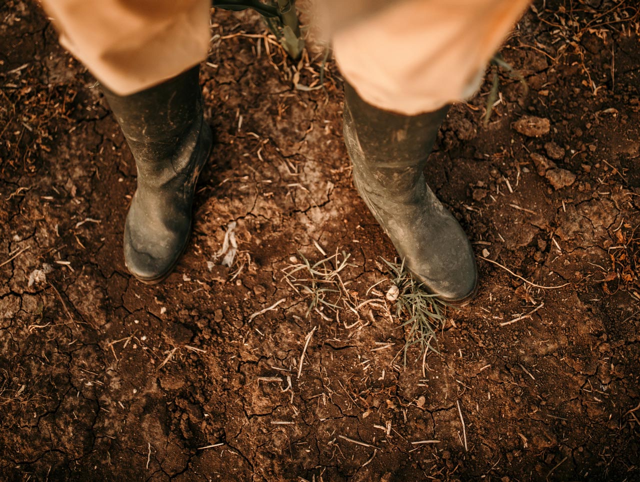 What are Rigger Boots and Why are they Banned?