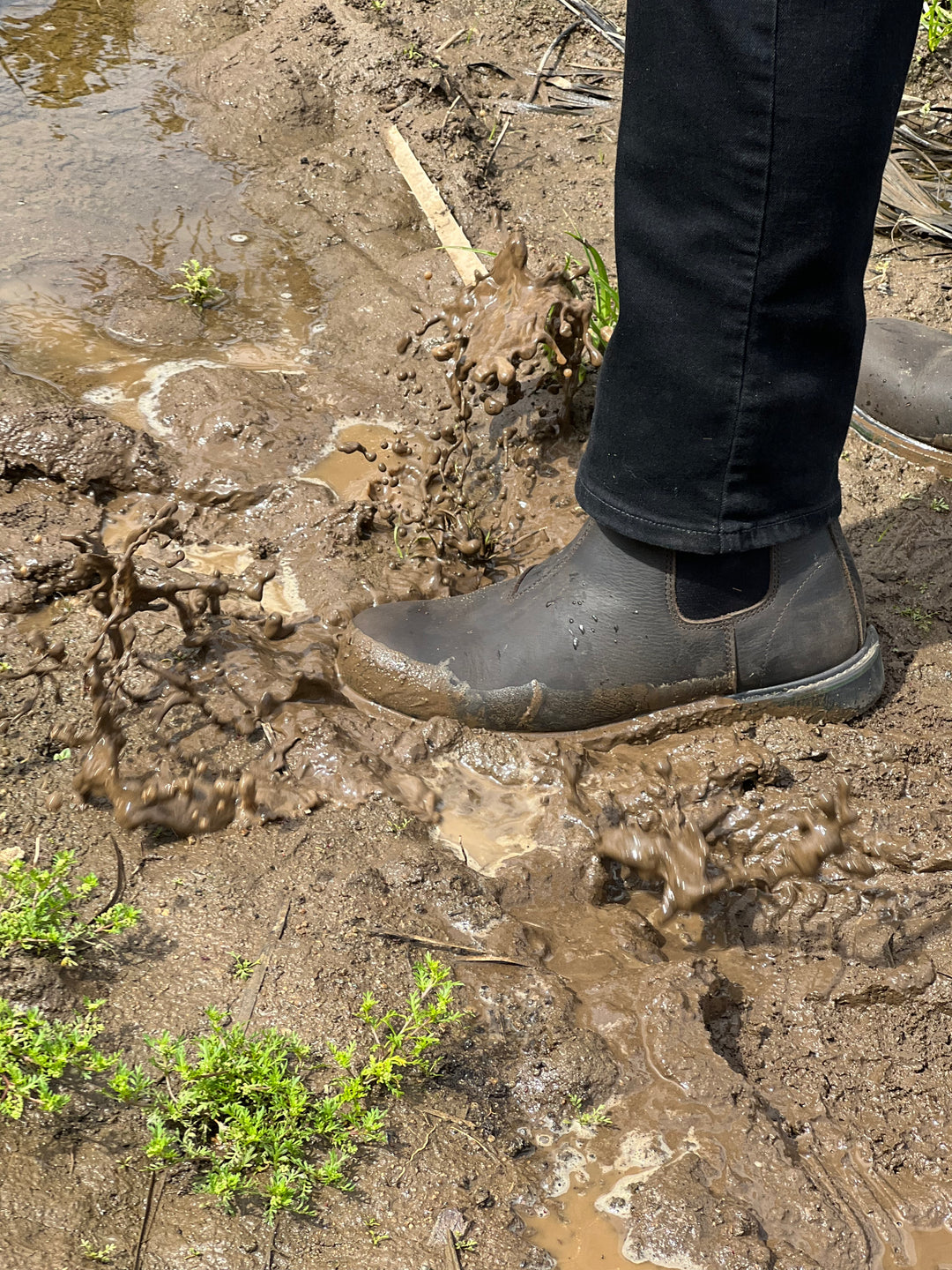 Rhino Boot